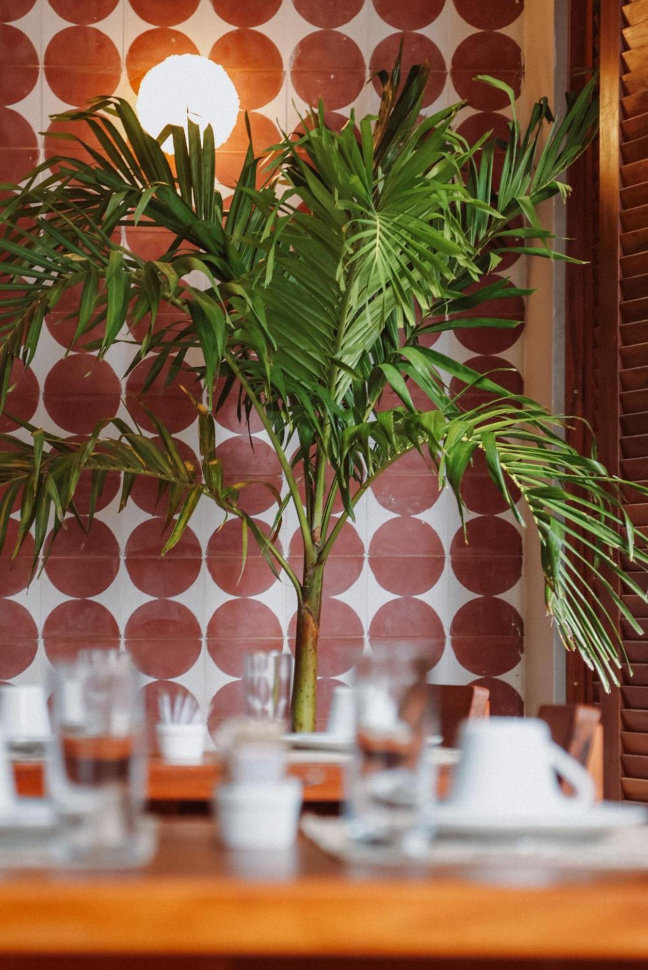 גואז'ירו Luau Hotel מראה חיצוני תמונה
